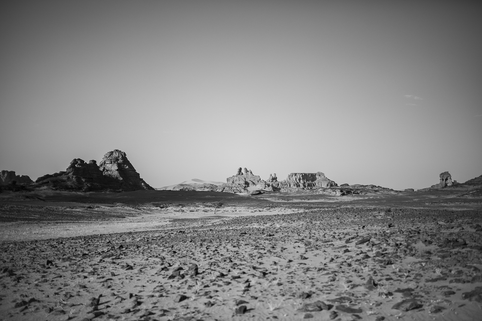 Human & Nature  outoftime 81